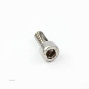 Gaggia Saeco 5X12 S.s. Screw - 996530062179