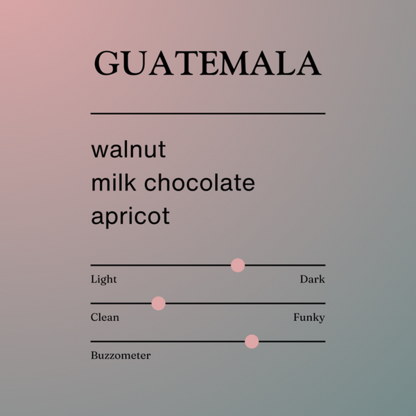 Jerry's Guatemala Whole Bean Coffee, 340g